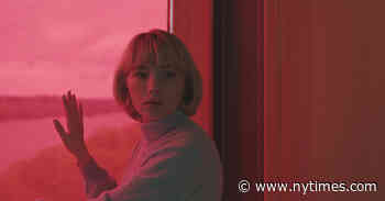 ‘Swallow’ Review: Objects in Stomach May Be Sharper Than They Appear