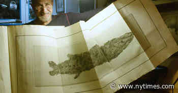 ‘The Booksellers’ Review: They Like Big Books and They Cannot Lie