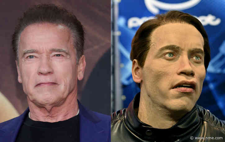 Arnold Schwarzenegger is suing a Russian robotics firm £7.7m for using his face