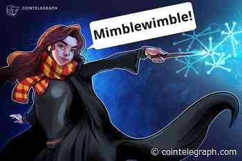 Developer Predicts Litecoin Mimblewimble Testnet Launch by September