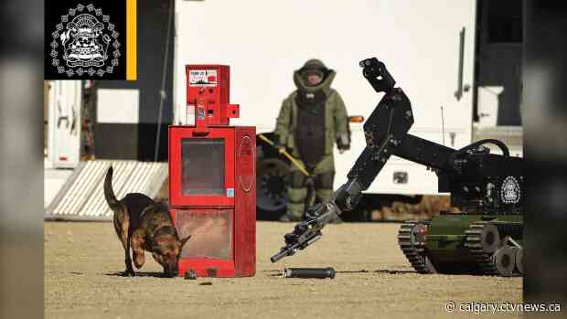 Calgary police mourn explosive detection dog Cinco