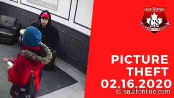 Theft of Picture at 250 Albert Street 