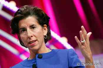 Rhode Island governor endorses Biden shortly after Bloomberg exits 2020 race | TheHill - The Hill