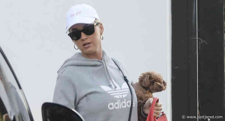 Katy Perry Leaves Her Office With Her Cute Dog in Tow
