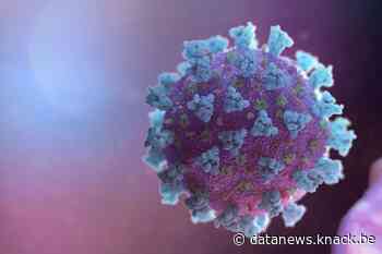 Geen IT-dienstverlening wegens het virus: is Covid-19 wel een geval van overmacht?