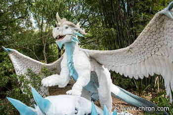 Houston Zoo kicks off spring break with new animatronic dragons exhibit