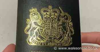 New passport sparks debate on social media as people argue it's black not blue