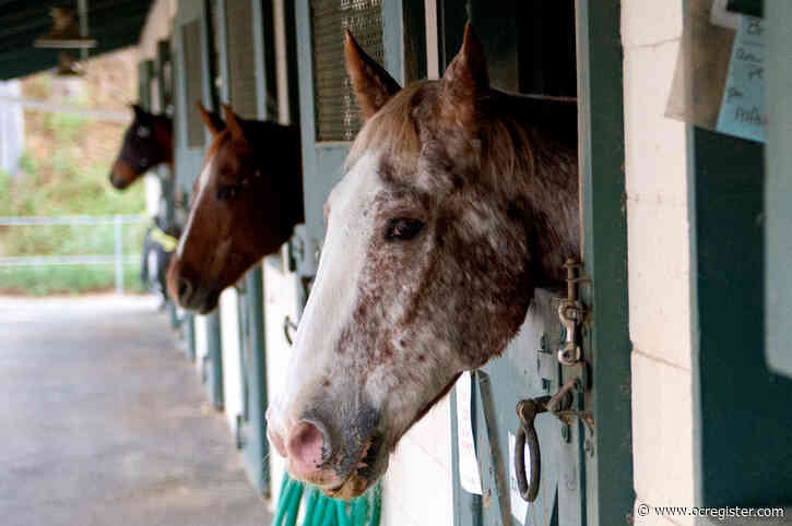 Horse trailer fees halved after increase surprises boarders in Laguna Woods