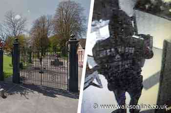 CCTV captures burglar during night-time raid at a Welsh park's cafe