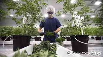 Canopy Growth to lay off 500 employees, close greenhouses, take $700-$800M writedown