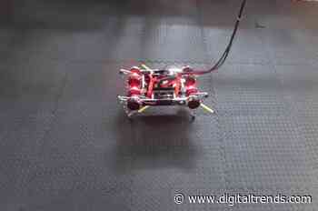 This Google robot taught itself to walk, with no help whatsoever, in two hours