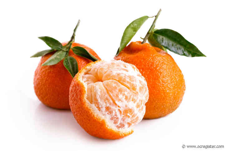 Feed your shrubbery this week, and then feast on Satsuma tangerines