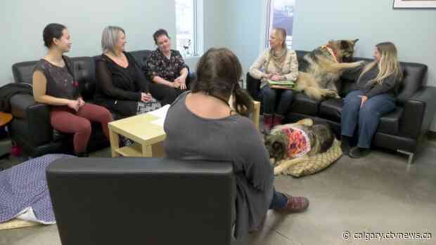 'I've learned that it's okay to cry': Program helps pet owners cope with grief