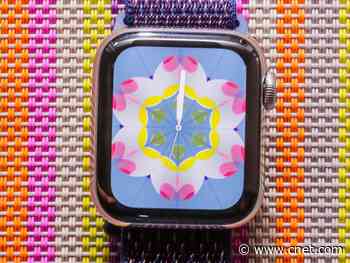 Best Apple Watch deals for 2020: Series 4 GPS model returns to Black Friday price     - CNET