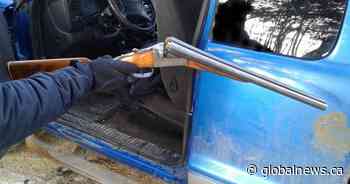 5 arrested, weapon seized in Brazeau County, Alta.