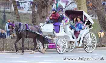 Nicolas Cage, 56, takes his girlfriend Riko Shibata, 26, in a horse-drawn carriage in NYC
