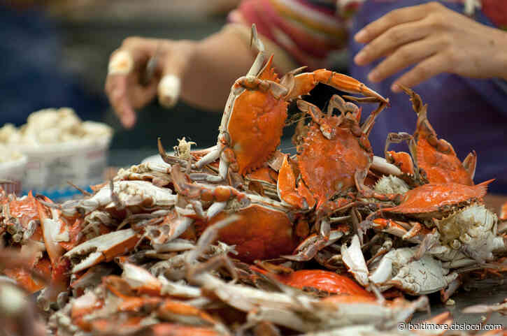Feds Approve 35K Additional H-2B Seasonal Worker Visas, Win For Maryland Seafood Industry