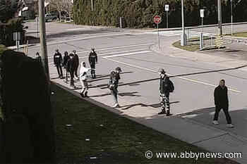 VIDEO: Teen bear-spray incident caught on camera near Chilliwack high school