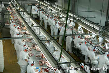 Ouro Preto do Oeste (RO) ganha agroindústria para abate de frangos - Avicultura Industrial