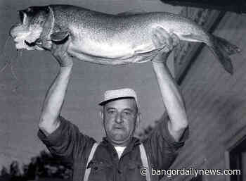 Since we're talking about big lake trout, the Maine record is a 31½ pound fish - Bangor Daily News
