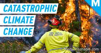 Even the 'optimistic' climate change forecast is catastrophic