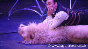 Cirque avec animaux: à Arras, les candidats aux municipales sont plutôt contre - L'Avenir de l'Artois
