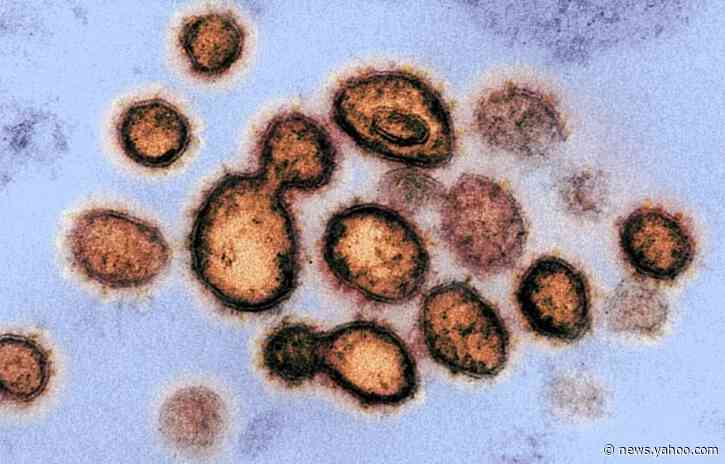 Coronavirus lingers in rooms and toilets but disinfectants kill it