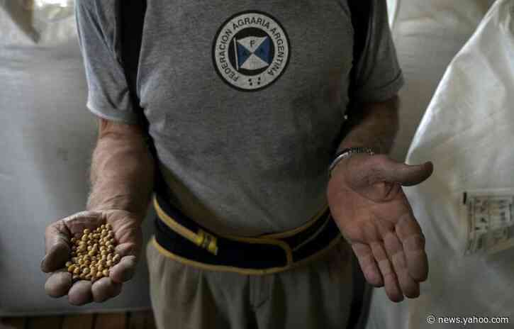 Argentina farmers announce strike after soya exports tax hike