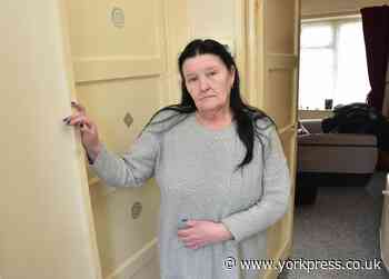 Woman forced out of York home after finding live rat in bathroom