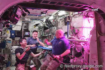 Before We Settle Mars, Scientists Must Perfect Growing Space Salad