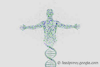 Why Sequencing the Human Genome Failed to Produce Big Breakthroughs in Disease