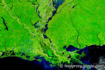 Images From Space Reveal the Dramatic Extent of Flooding in the Mississippi Valley