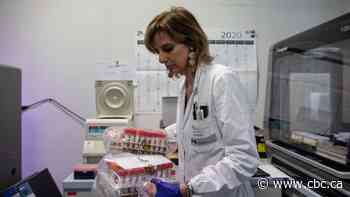 WHO chief on COVID-19: 'This is a time for pulling out all the stops'