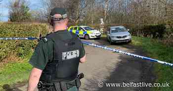 Mum suspected of fatal stabbing of toddler in Co Antrim - Belfast Live
