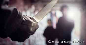 'Deeply disturbing': 24 weapons seized by police in schools in Bristol, South Gloucestershire and North Somerset.