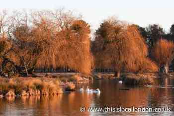 Free toilet access at Richmond Park and Bushy Park to reduce coronavirus spread