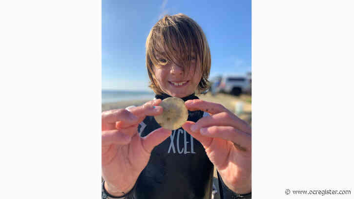 Low tides exposing sand dollar treasures along the coast