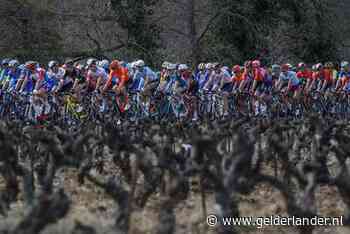 Ploegleider Jumbo-Visma: Pijnlijk dat er zelfs nu geen eenheid is in het wielrennen