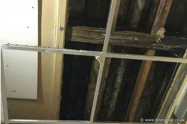 Pictures - inside the illegal flat at the back of the Premier store in Avonmouth