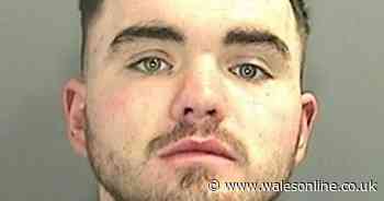 Man stabbed his stepfather twice after argument outside their Cardiff home