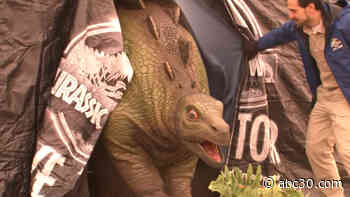 What If A Dinosaur Came To Your School?!