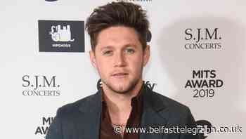 Niall Horan says his first album ‘put him into a bit of a pigeonhole’