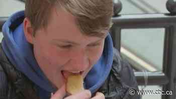 Scientists make cake with butter from bugs instead of cows