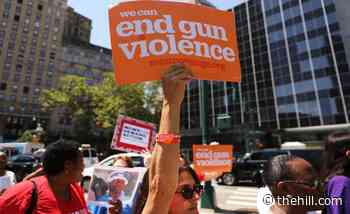 Connecticut legislators: Relatives, medical professionals could seek gun seizures - The Hill