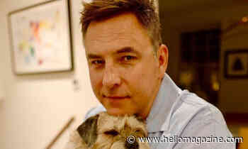 David Walliams gives fans a glimpse inside his London home