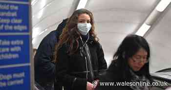 Second coronavirus death confirmed in UK