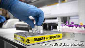 Coronavirus: Man in his 80s becomes UK's second death