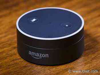 Amazon refurb bonanza: Save up to 73% on the Echo Dot or two different Kindle models     - CNET