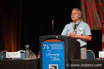 Sault Ste. Marie Tribe wins major victory in homelands litigation - indianz.com