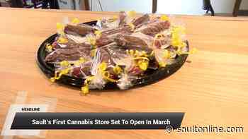 Hello Hello Cannabis, Welcome To Sault Ste. Marie - SaultOnline.com